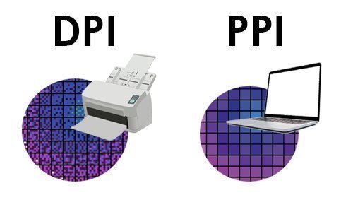 Ppi